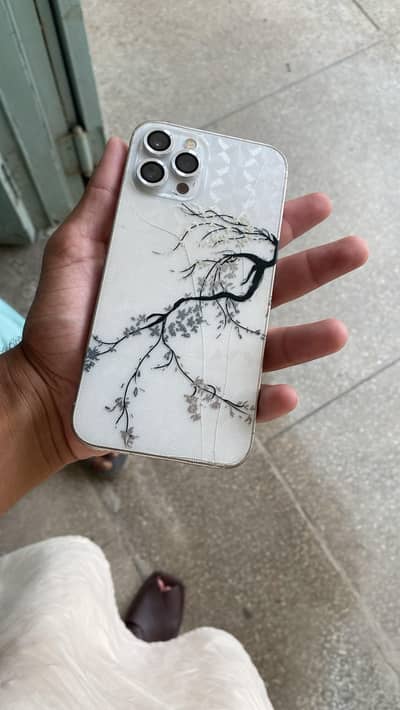 Apple iPhone 12 Pro Max