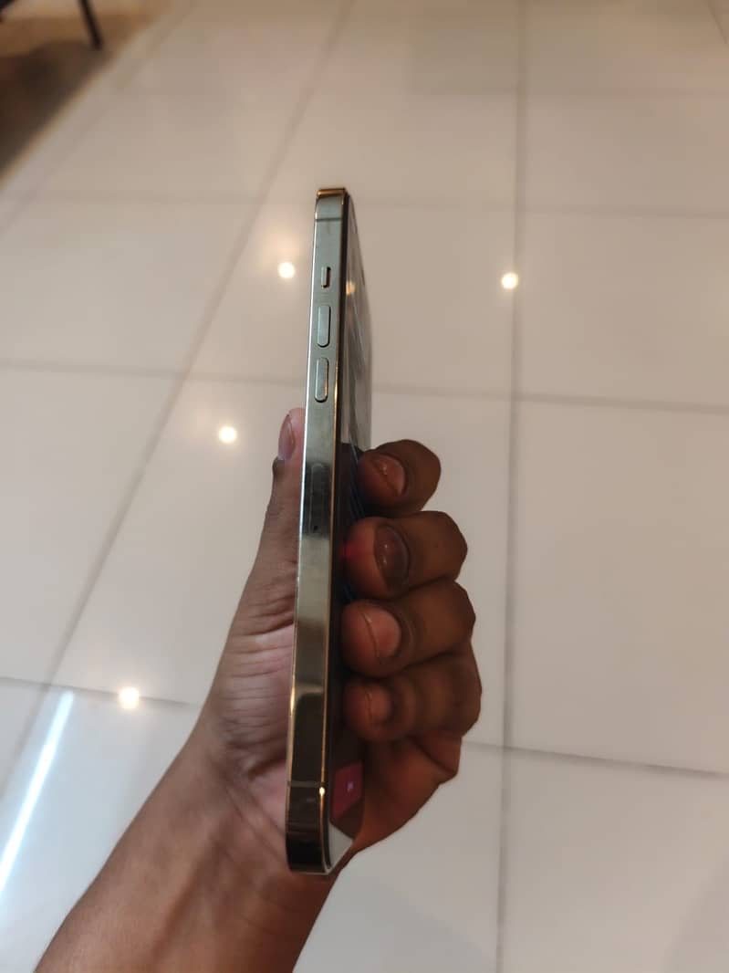Apple iPhone 12 Pro Max 1