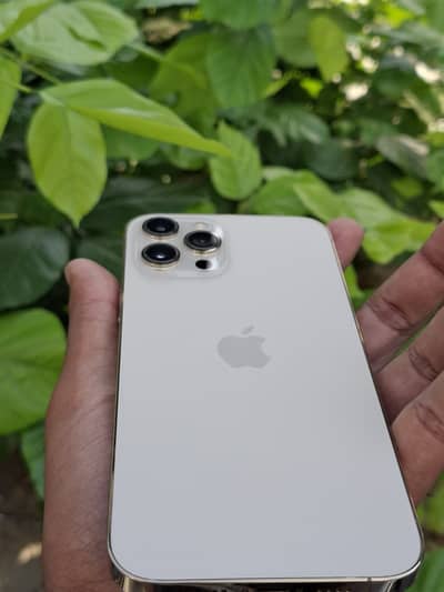 Apple iPhone 12 Pro Max 256