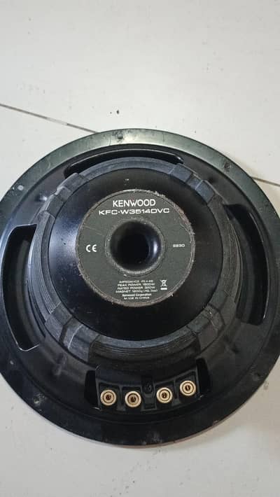 woofer double coil 20 years Old