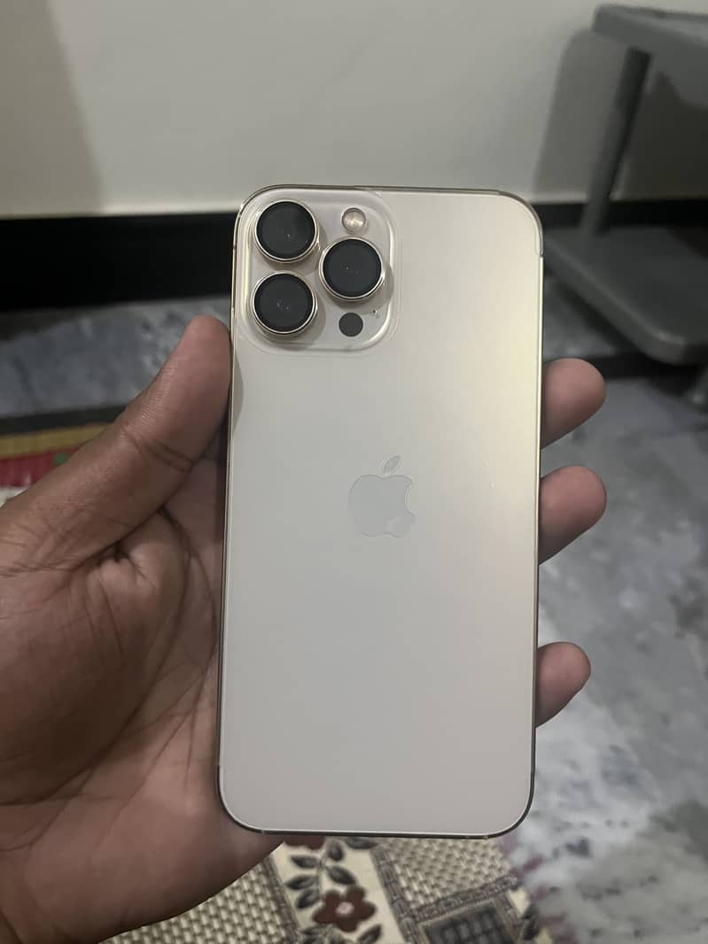 Apple iPhone 13 Pro Max 0
