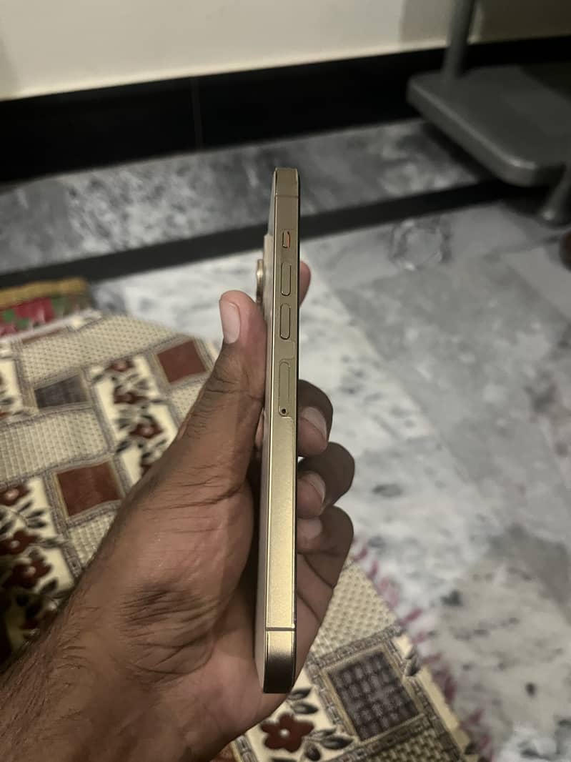 Apple iPhone 13 Pro Max 2