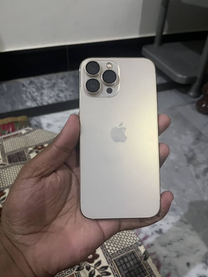 Apple iPhone 13 Pro Max 3