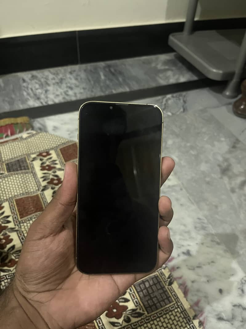 Apple iPhone 13 Pro Max 6