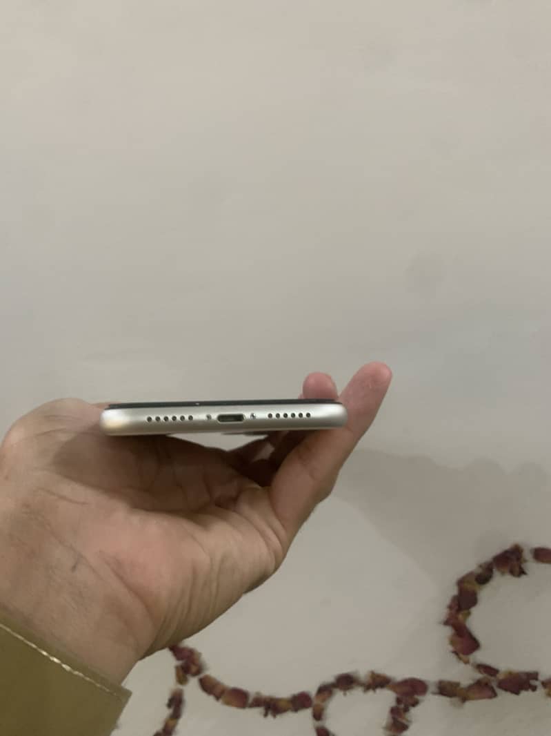 Apple iPhone 11 4