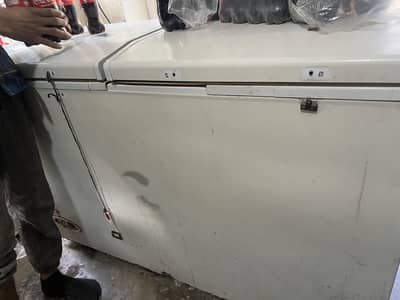 Waves 2 door freezer