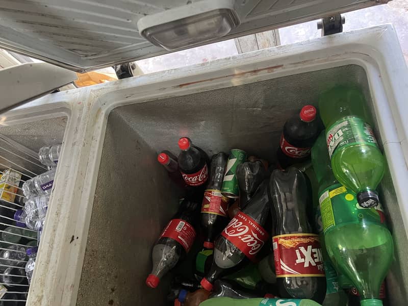 Waves 2 door freezer 1