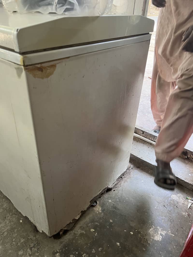 Waves 2 door freezer 3