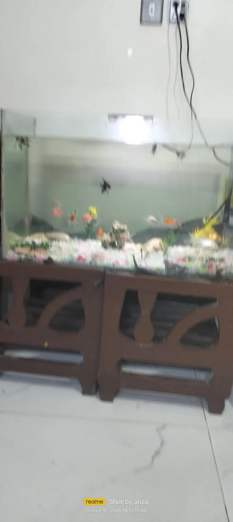 fishes with aquarium — photo 5