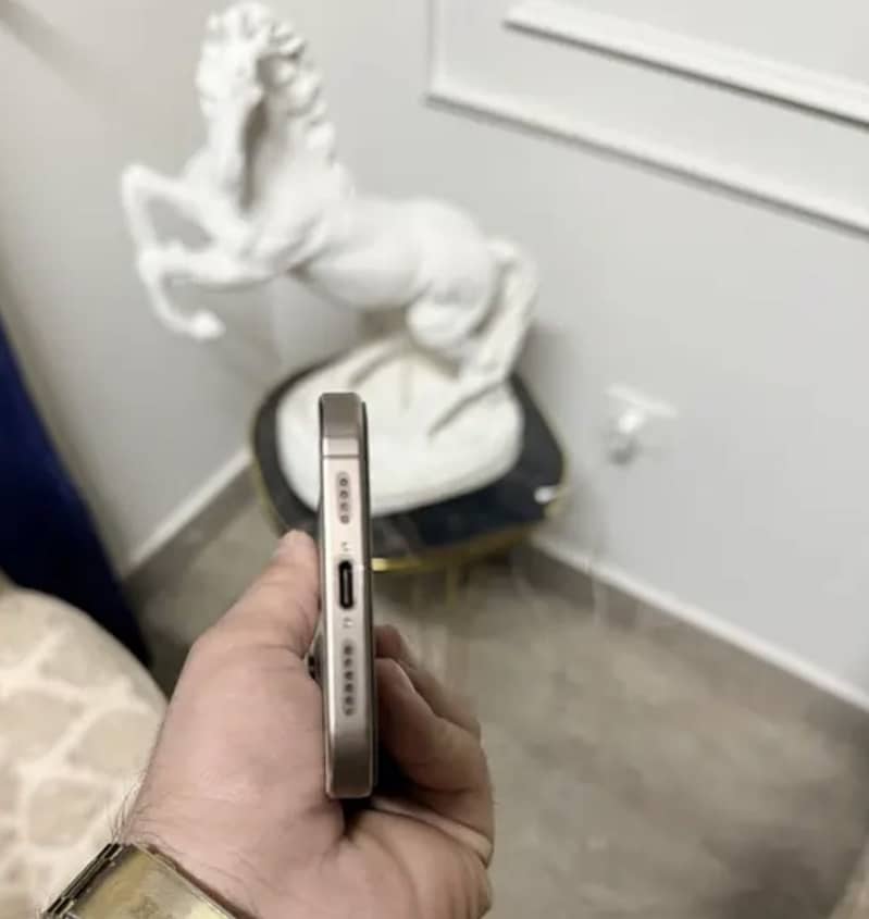 Apple iPhone 16 Pro Max 3