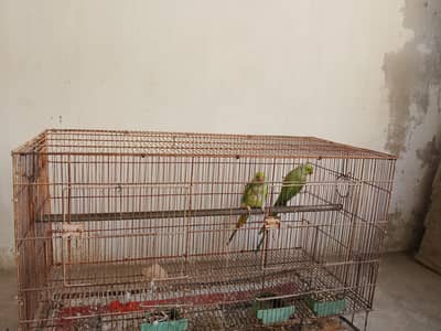 achcha pair hai Ande bache wala urgent sale