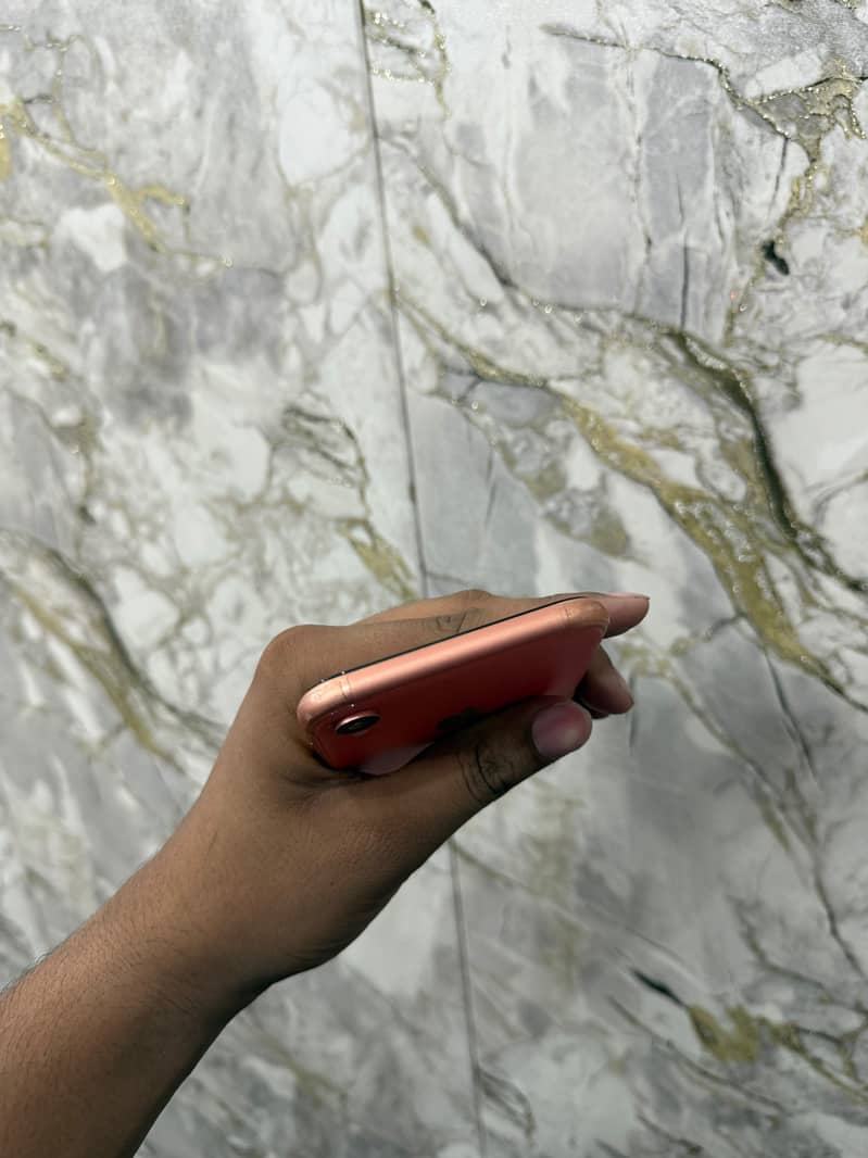 Apple iPhone XR 6