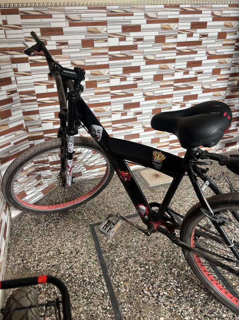 Mountain bycycle 1