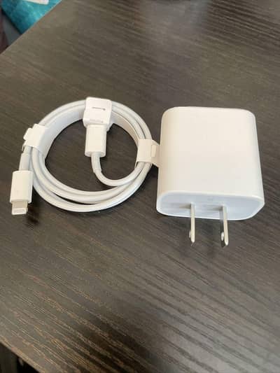 Apple Official Adapter and Cable