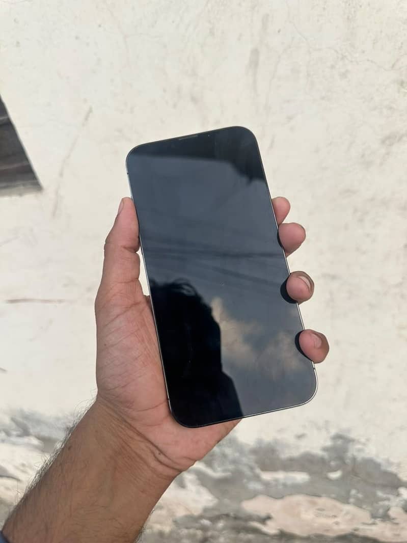 Apple iPhone 13 Pro Max 2