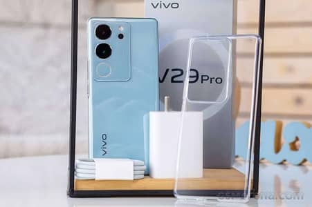 Vivo V29 Pro Available for sale