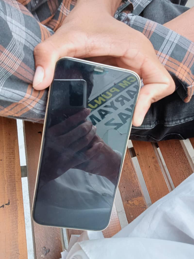 Apple iPhone 12 Pro Max 1