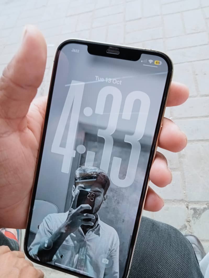 Apple iPhone 12 Pro Max 5