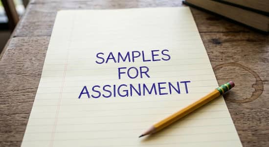 Handwritten Assignments