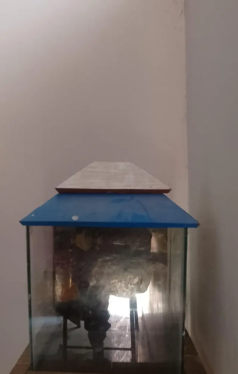 Glass Aquarium with Blue Roof Cover for Sale — photo 3