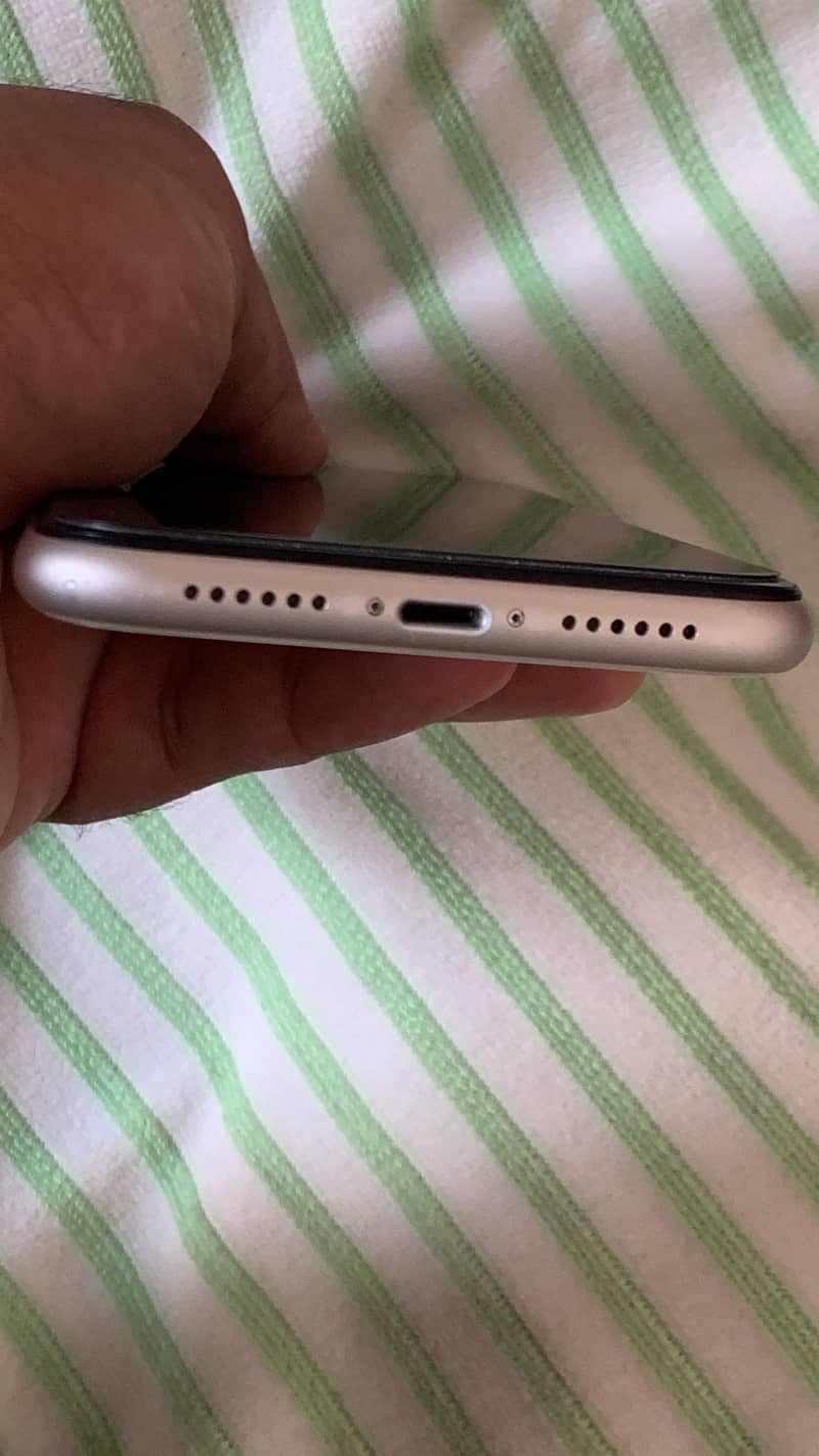 Apple iPhone 11 0