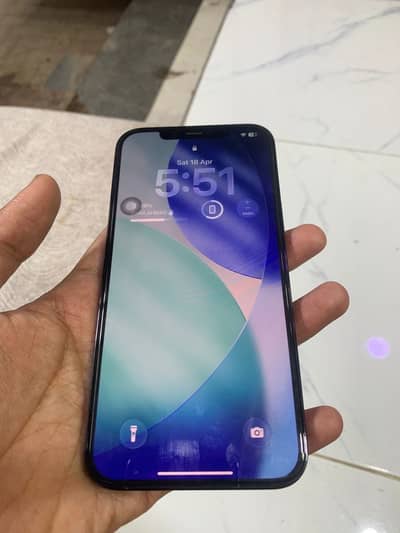 Apple iPhone 12 Pro Max