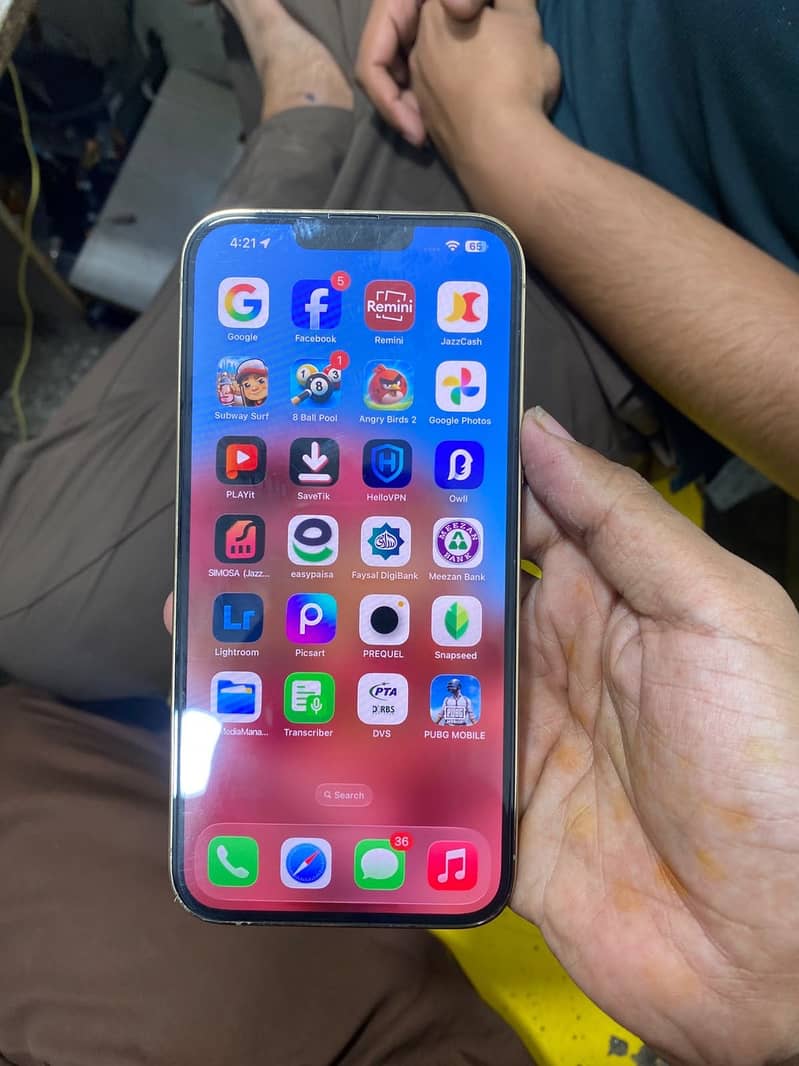 Apple iPhone 13 Pro Max 3