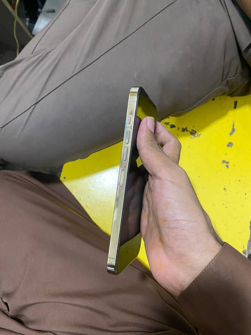Apple iPhone 13 Pro Max 6