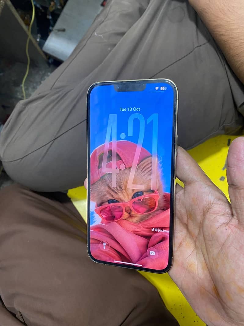 Apple iPhone 13 Pro Max 10
