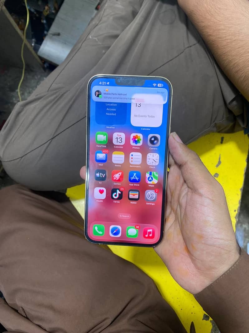 Apple iPhone 13 Pro Max 11