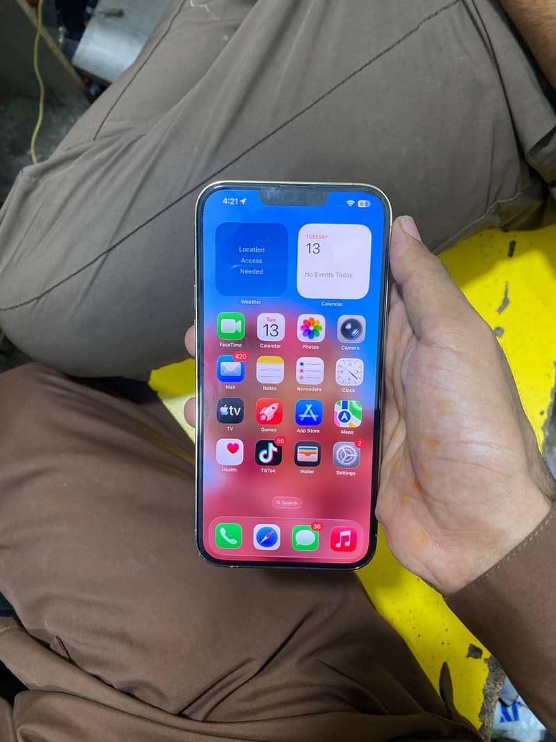 Apple iPhone 13 Pro Max 12