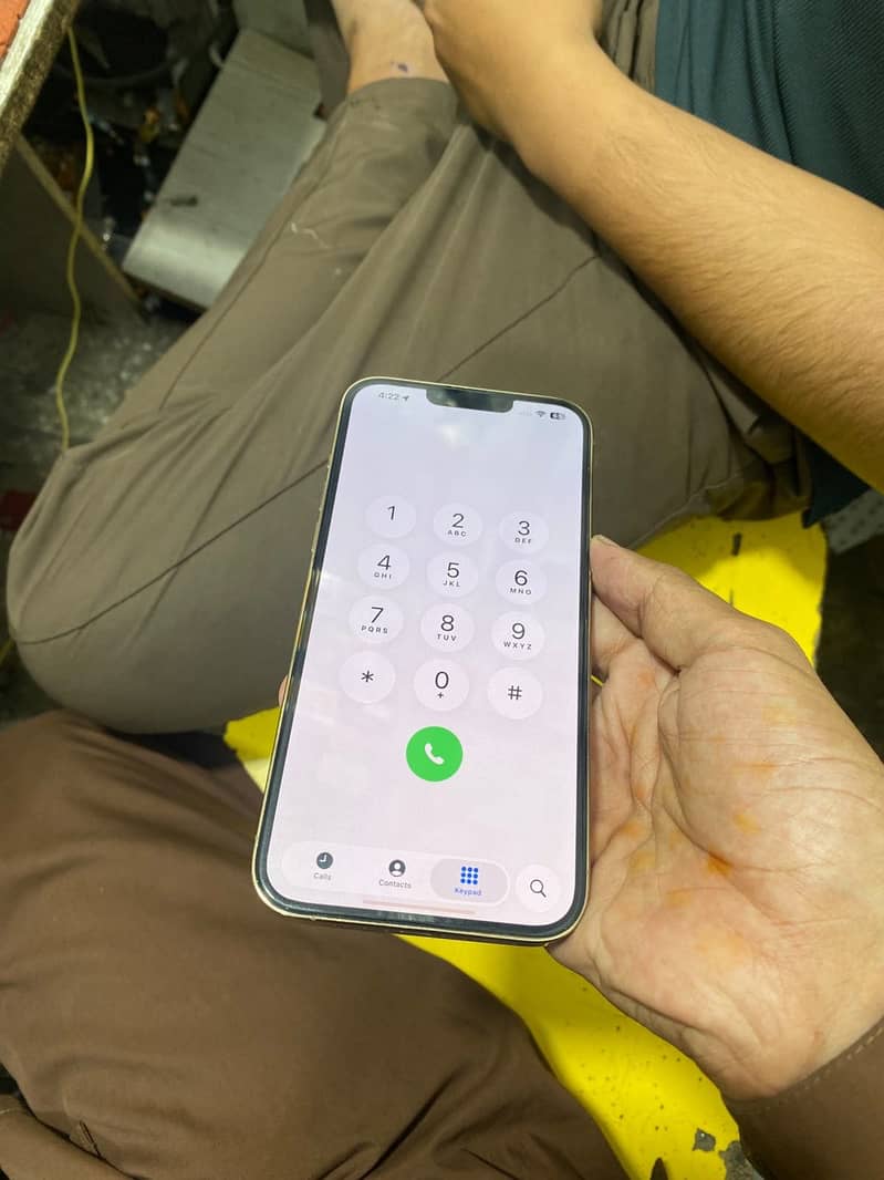 Apple iPhone 13 Pro Max 15