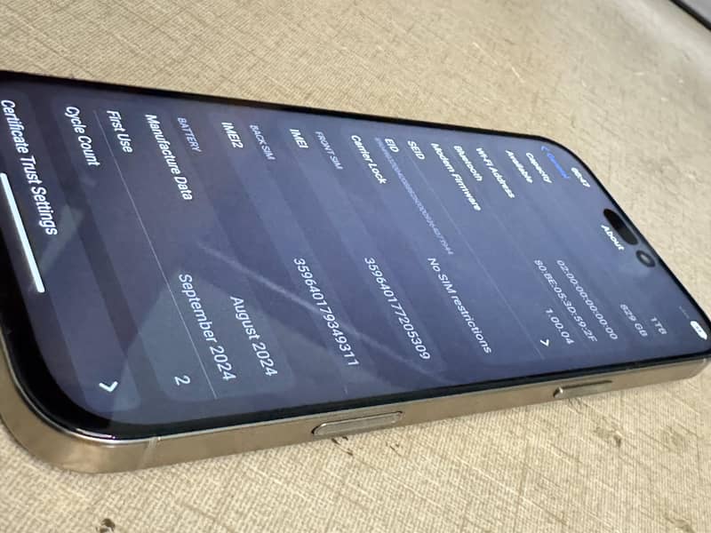 Apple iPhone 16 Pro Max 2