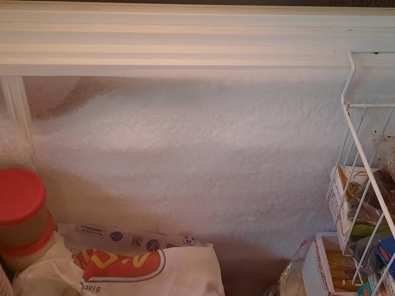 freezer 3