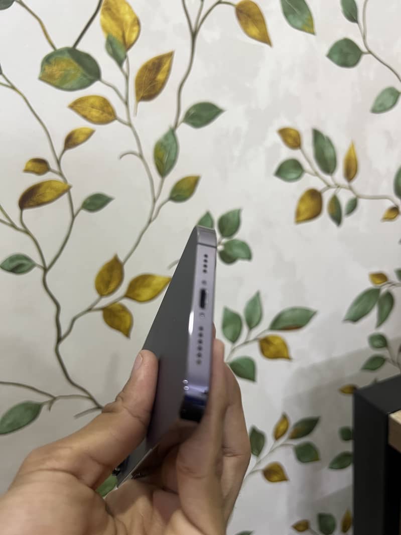 Apple iPhone 14 Pro Max 5