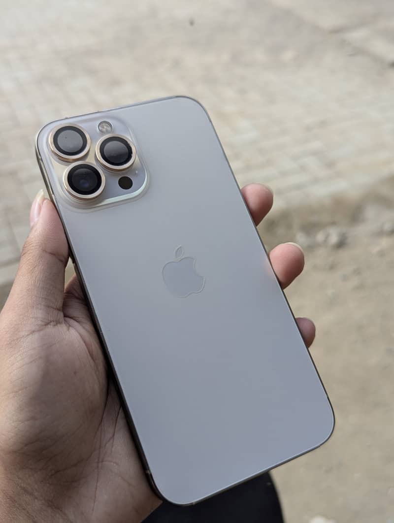 Apple iPhone 13 Pro Max 1