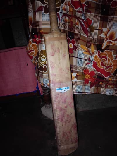 hard ball cricket bat
