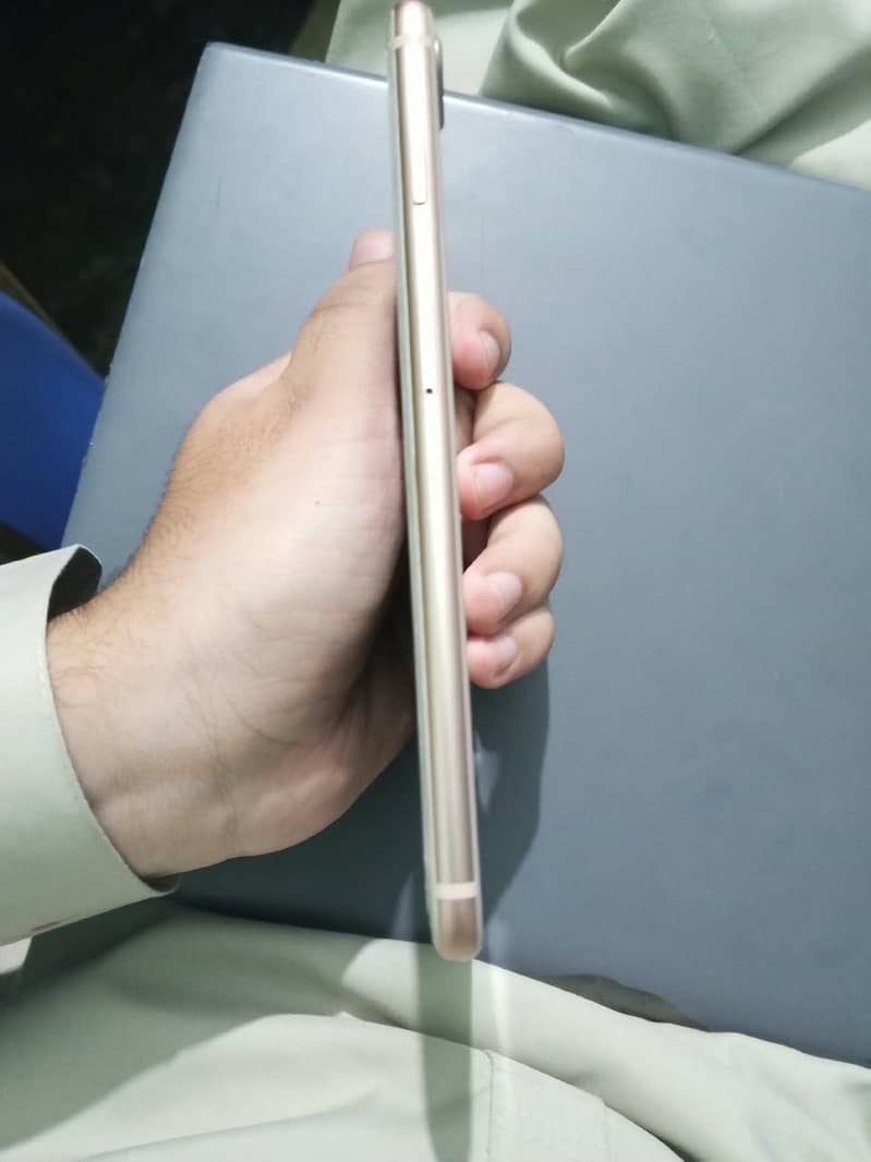 Apple iPhone 8 Plus 1