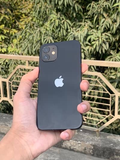 Apple iPhone 12