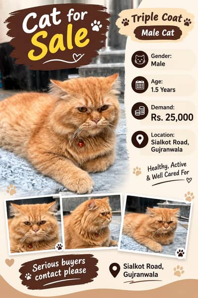 Interested buyers can contact for details.