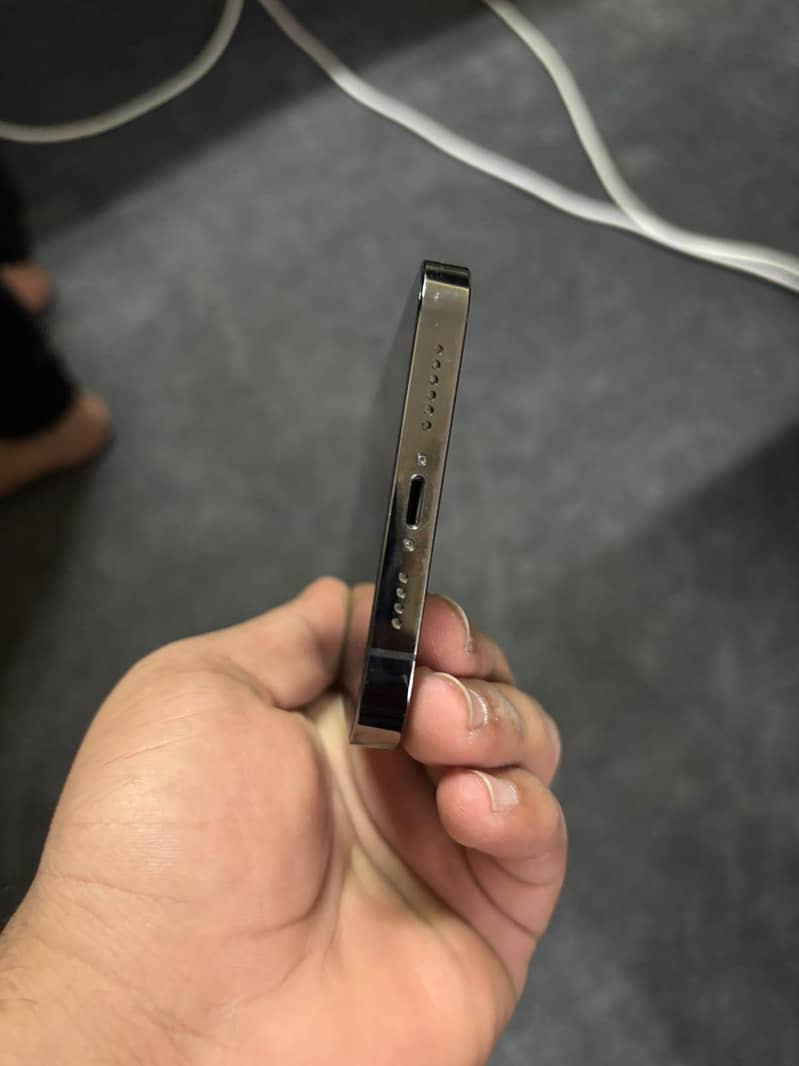 Apple iPhone 13 Pro Max 1