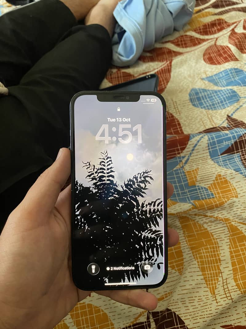 Apple iPhone 12 Pro Max 8