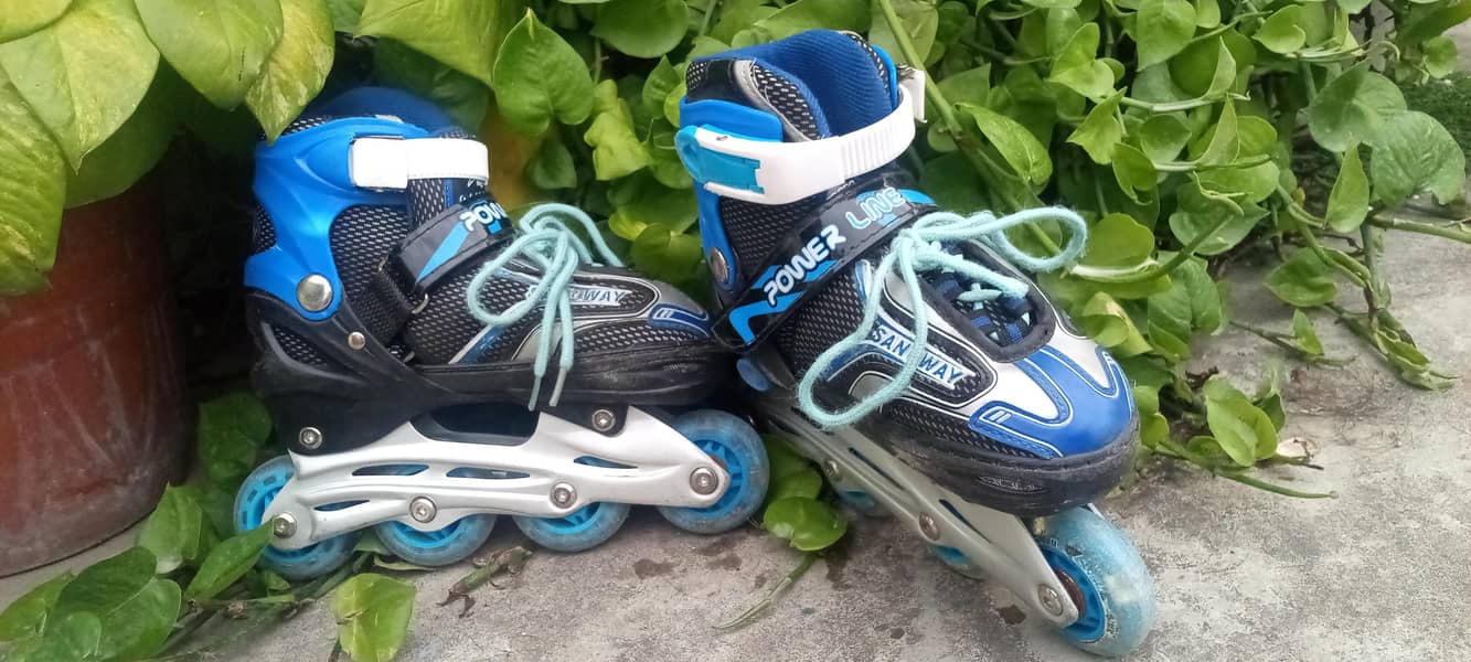 Skating shoes 1