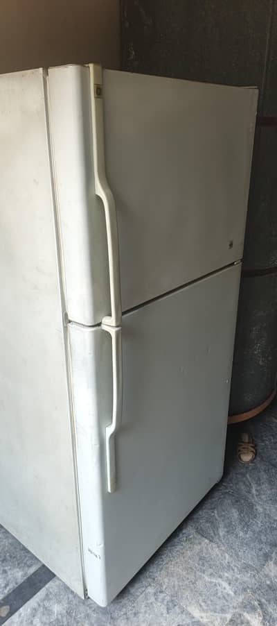 non frostfridge