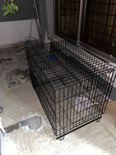 dog cage