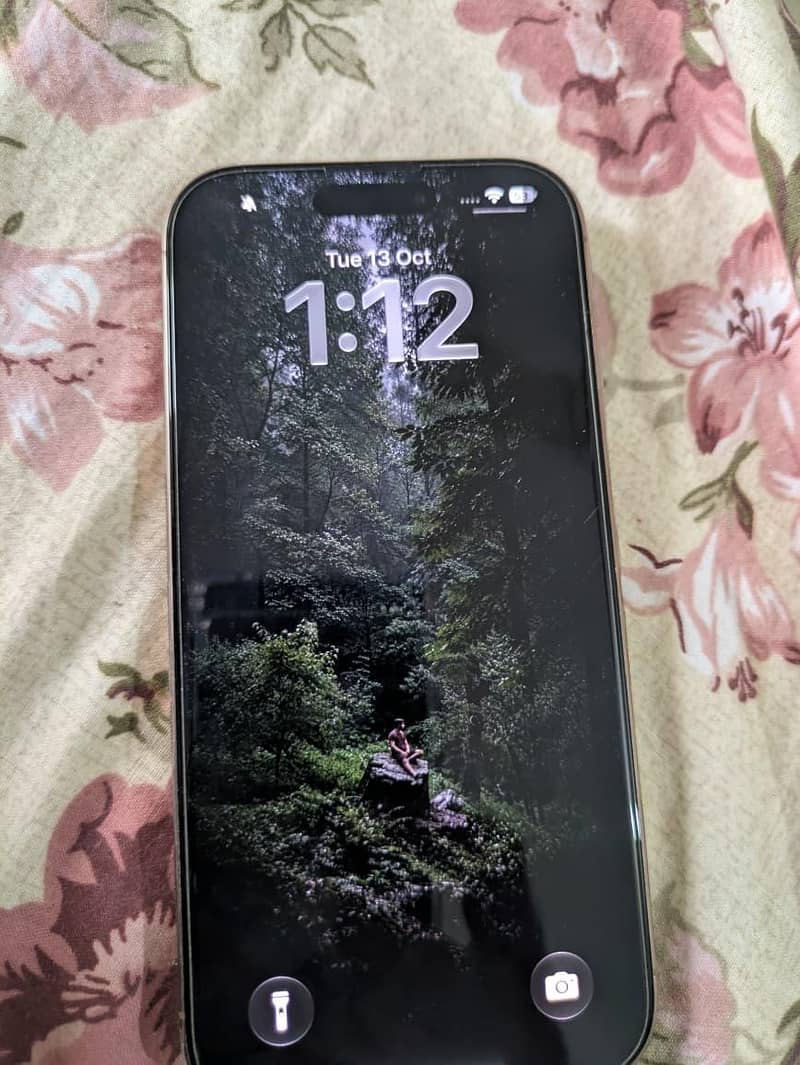 Apple iPhone 16 Pro 0