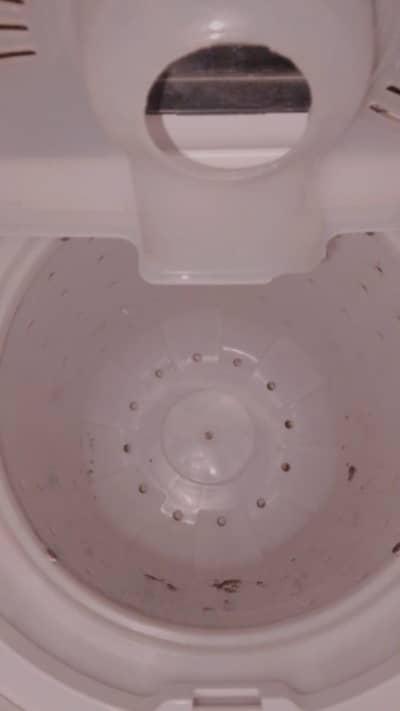 company I zone condishan 10/10 washer urgent sale