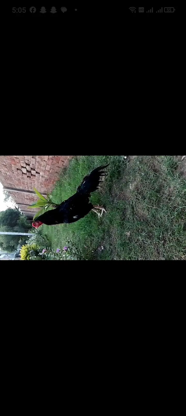 Lakha — photo 6