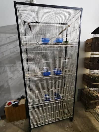 Ringneck Cage 4 Portion