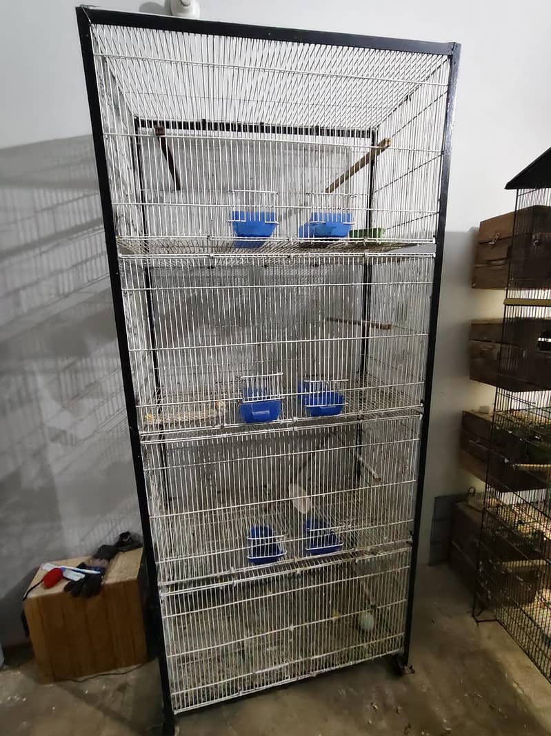 Ringneck Cage 4 Portion 0